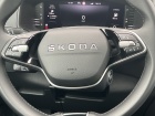 Škoda Karoq Top Selection