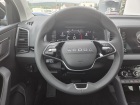 Škoda Karoq Top Selection