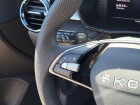 Škoda Fabia Dynamic