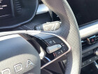 Škoda Fabia Dynamic