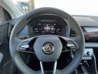 Škoda Karoq Drive