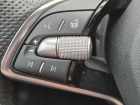 Škoda Fabia Monte Carlo