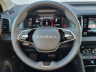 Škoda Karoq Top Selection