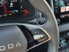 Škoda Karoq Top Selection