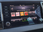 Škoda Karoq Top Selection