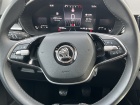 Škoda Fabia Top Selection