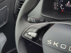 Škoda Karoq Top Selection