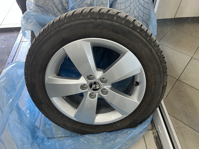 Škoda Kamiq Monte Carlo