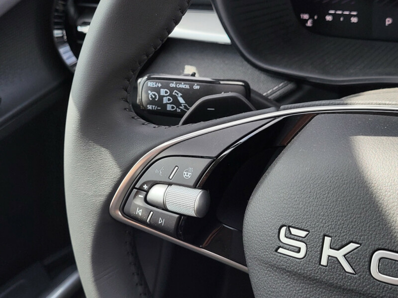 Škoda Fabia Top Selection